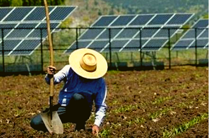 DE QUE MODO  POSSVEL PROMOVER A INOVAO E SUSTENTABILIDADE NA FAZENDA?